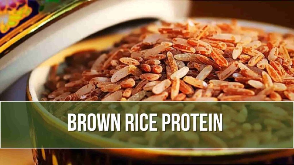 Brown rice protein