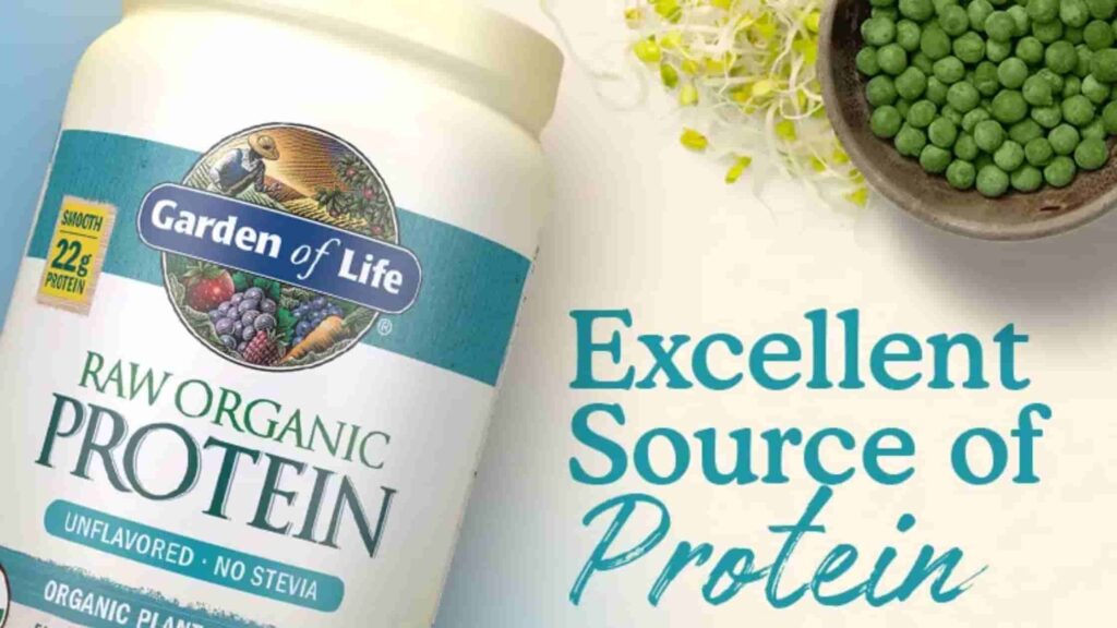 Garden of life raw organic protein powder unflavoured